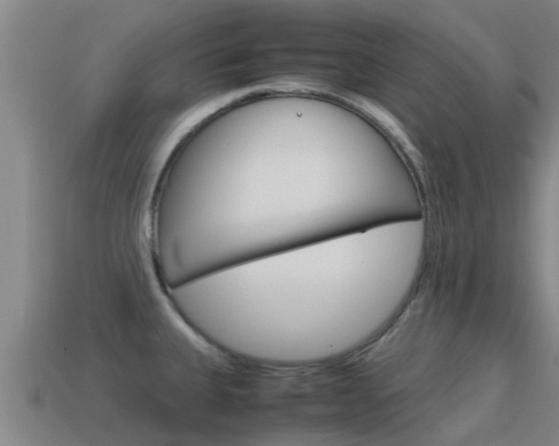X0000115501335200911061014