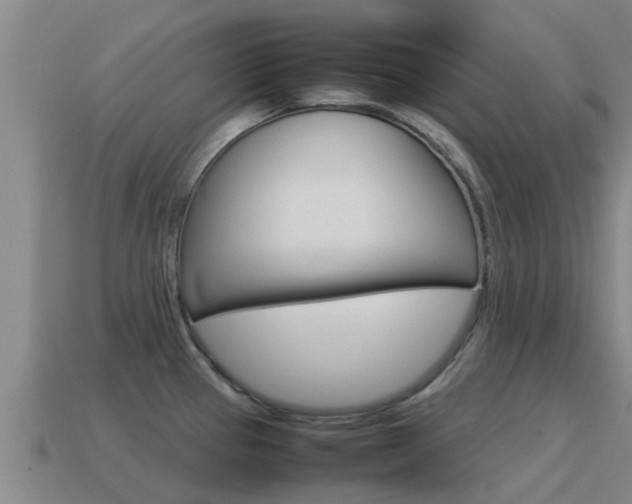 X0000115501337200911061014