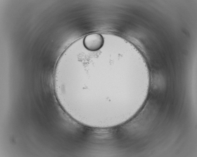 X0000115501338200911061014