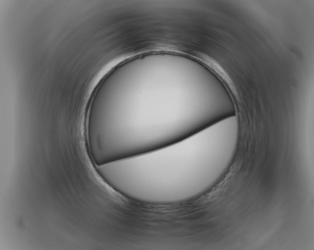 X0000115501339200911061014