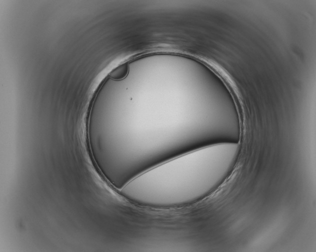 X0000115501341200911061014