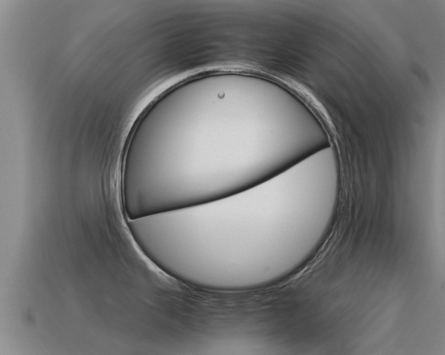 X0000115501343200911061014