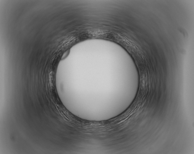 X0000115501346200911061014