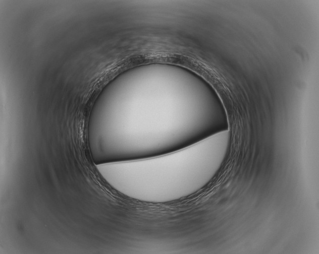 X0000115501348200911061014