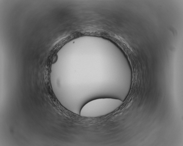 X0000115501350200911061014