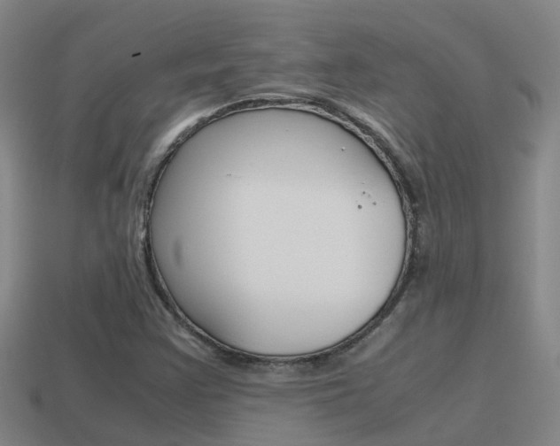 X0000115501355200911061014