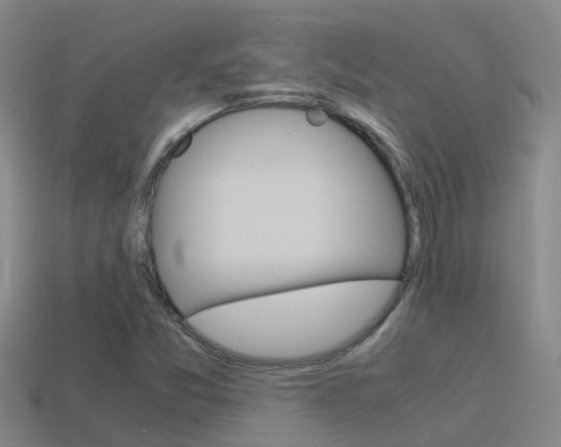X0000115501357200911061014