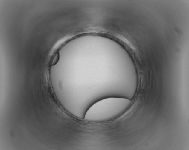 X0000115501358200911061014