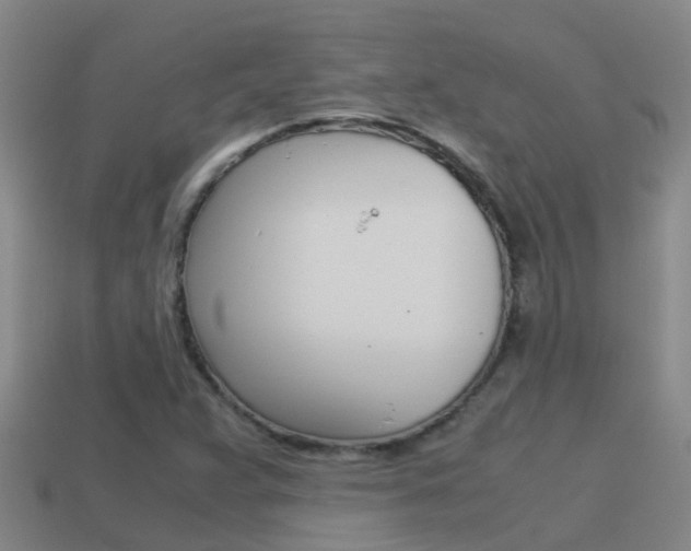 X0000115501359200911061014