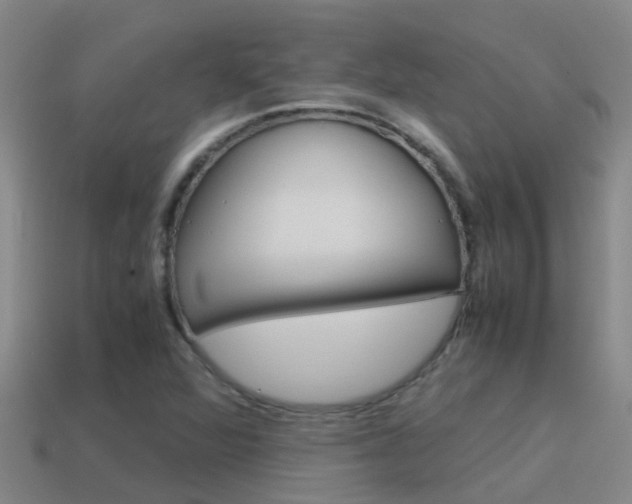 X0000115501360200911061014