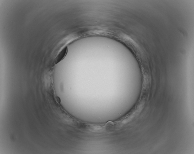 X0000115501361200911061014