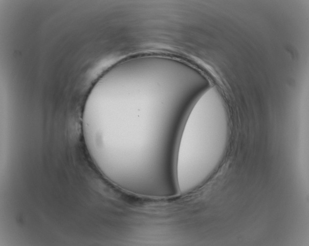 X0000115501363200911061014
