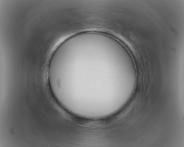 X0000115501367200911061014