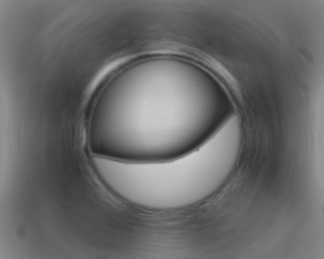 X0000115501368200911061014