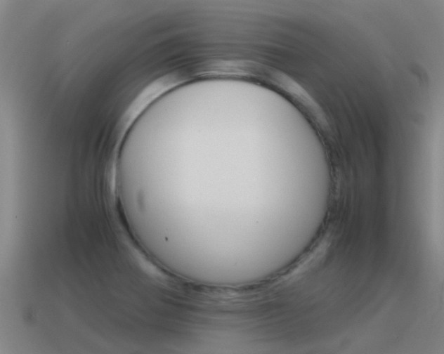 X0000115501370200911061014