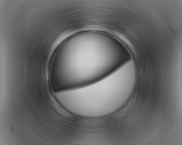 X0000115501372200911061013