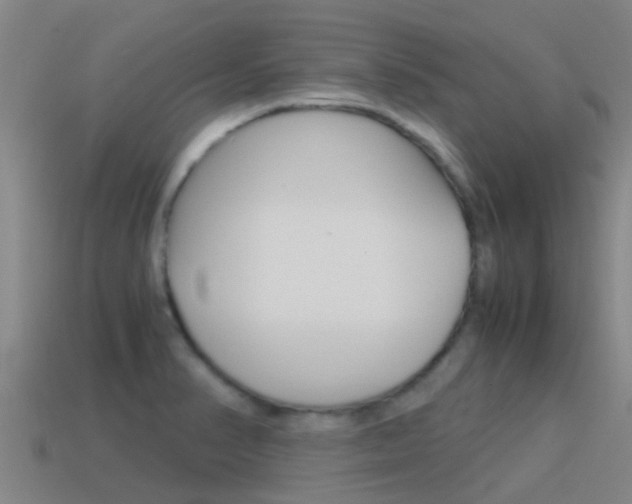 X0000115501374200911061013
