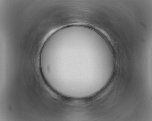 X0000115501375200911061013