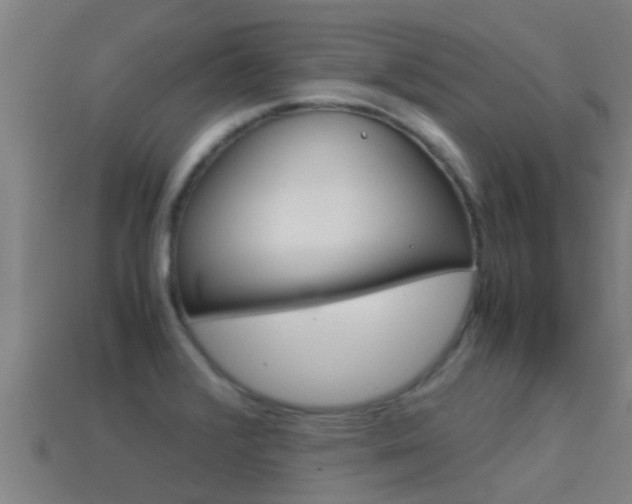 X0000115501376200911061013