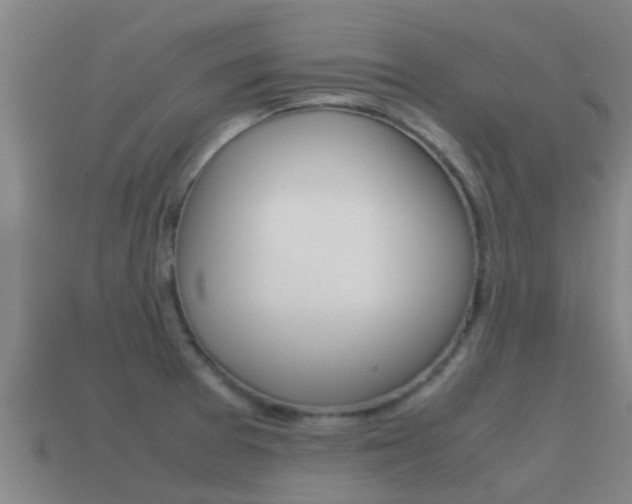 X0000115501377200911061013