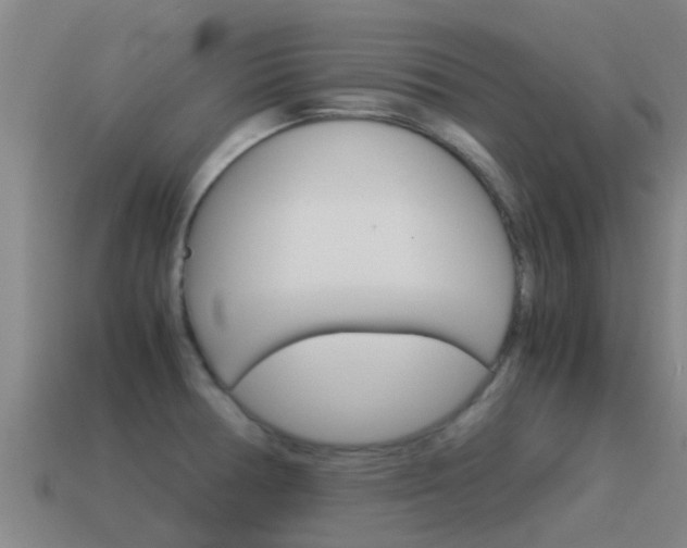 X0000115501378200911061013