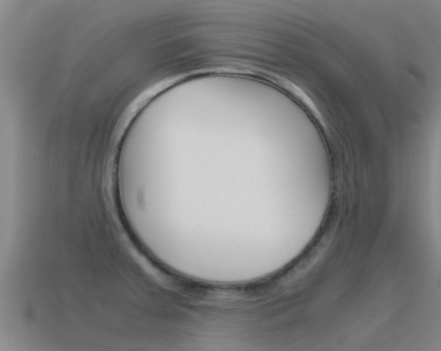 X0000115501379200911061013