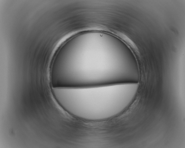 X0000115501380200911061013