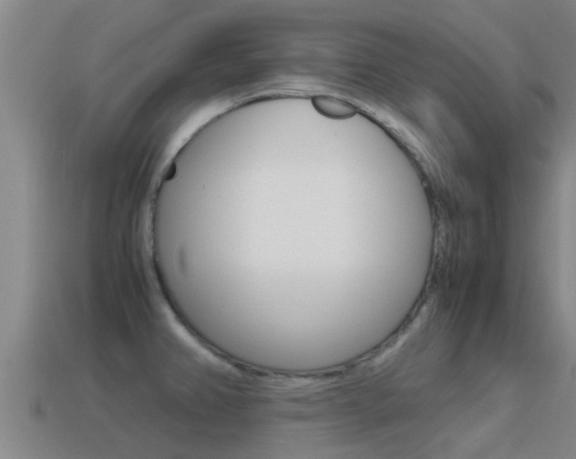 X0000115501382200911061013