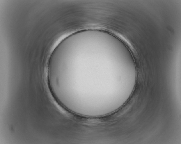 X0000115501383200911061013