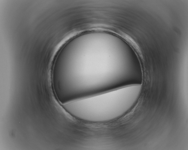 X0000115501384200911061013