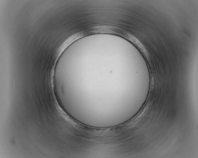 X0000115501386200911061013