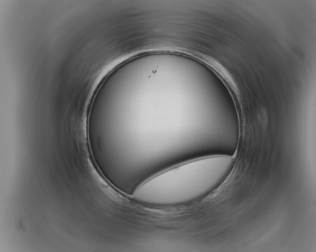 X0000115501388200911061013