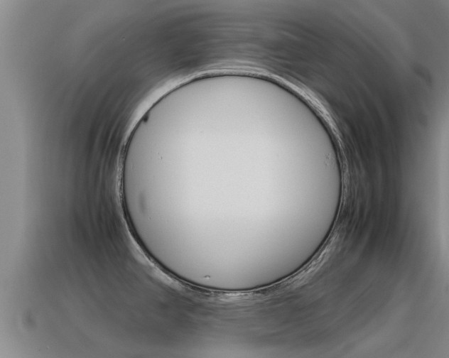 X0000115501390200911061013