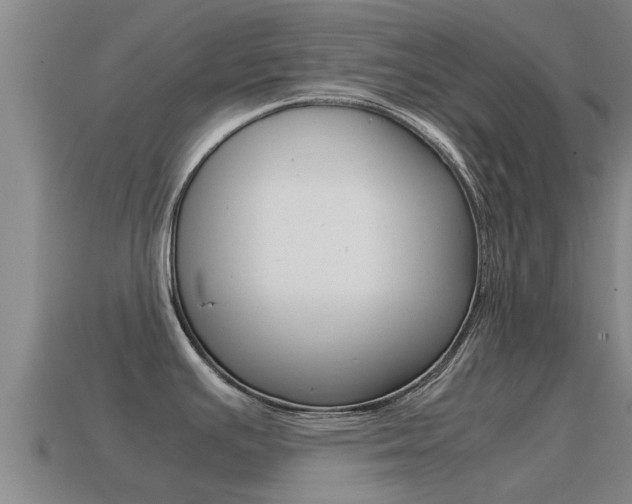 X0000115501391200911061013