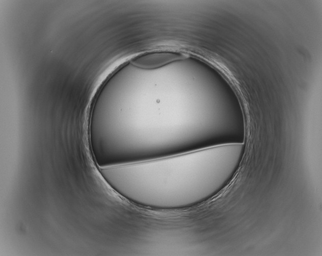 X0000115501392200911061013