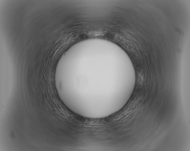 X0000115501393200911061013