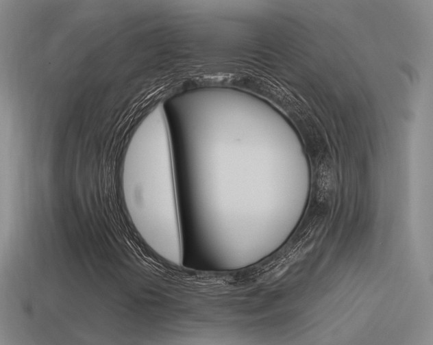 X0000115501394200911061013