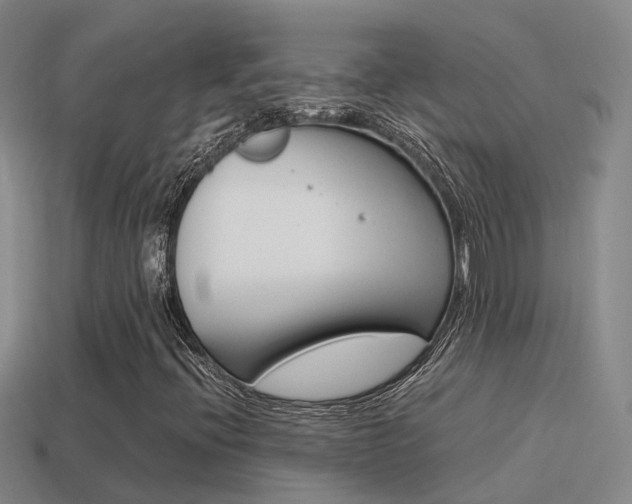 X0000115501396200911061013