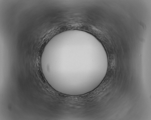 X0000115501397200911061013