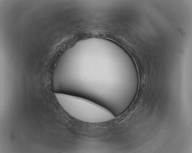X0000115501398200911061013