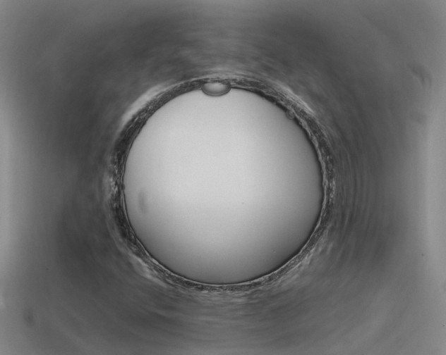 X0000115501400200911061013