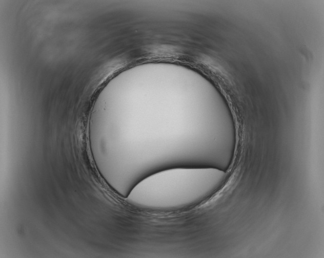 X0000115501401200911061013