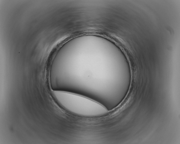 X0000115501402200911061013