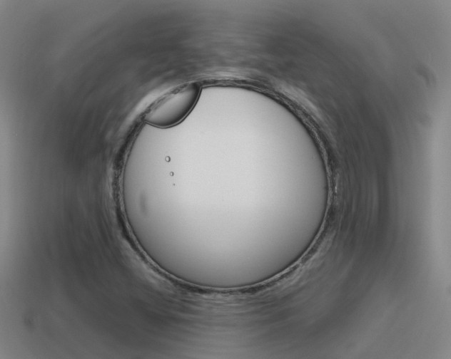 X0000115501404200911061013