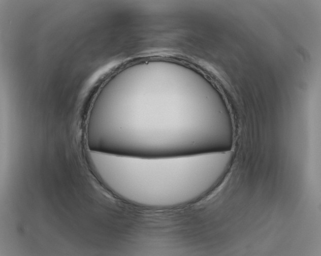X0000115501406200911061013
