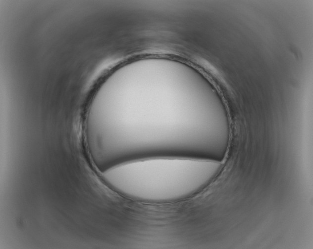 X0000115501408200911061013