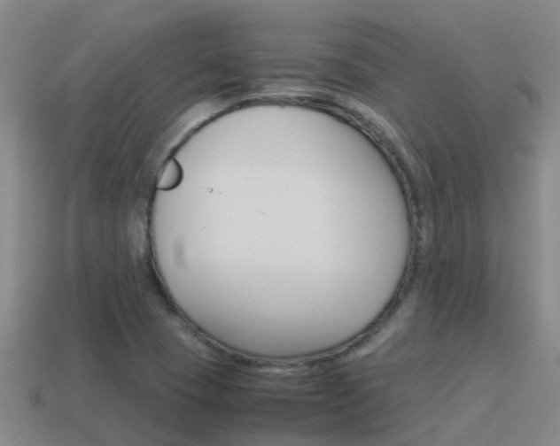 X0000115501409200911061013