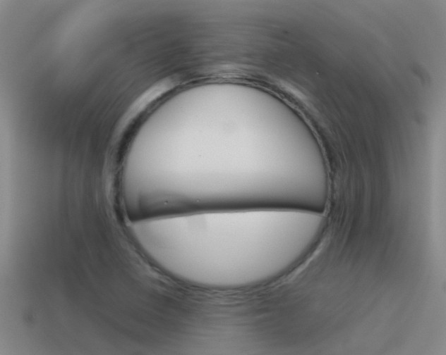 X0000115501410200911061013