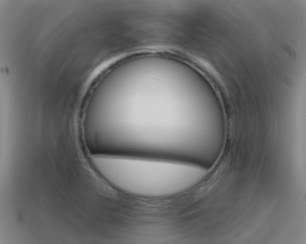 X0000115501412200911061013