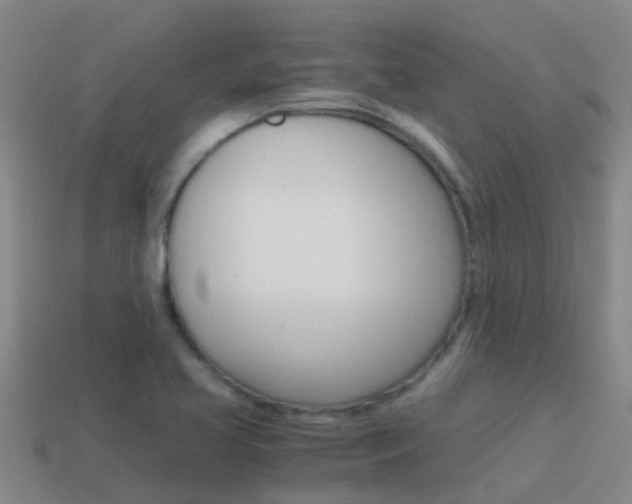 X0000115501413200911061013